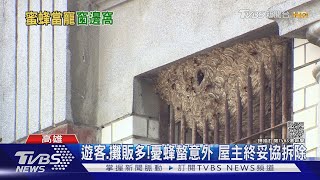 旗山老街驚見虎頭蜂窩!屋主淡定3度拒拆 ｜TVBS新聞