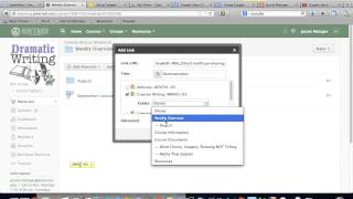Sharing Google Doc on Schoology