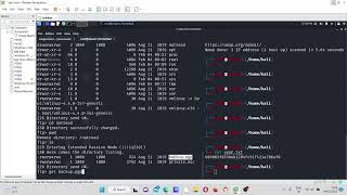 AnonForce Tryhackme | CTF Room