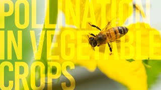 Pollination in Vegetable Crops