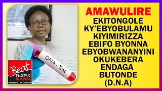 AMAWULIRE: Ekitongole Ky’ebyobulamu Kiyimirizza Ebifo Byonna Okukebera Endaga  Butonde (D.N.A)