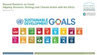 Beyond Business as Usual: Aligning Business Strategy and Climate Action with the SDGs