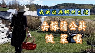 【我的瑞典鄉村生活●去採蒲公英做菜嘍🍀 | 5種簡單易做、營養健康的吃法】My life in a village of Sweden, Episode 2 (English Subtitles)