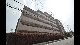 ジュイール鵜野森・南棟　３０３号室　３ＬＤＫ　｜　日の出不動産㈱　古淵　賃貸