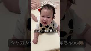 滅多に声出して笑わない赤ちゃんがツボにはまった様子😂#赤ちゃん #赤ちゃんのいる生活 #かわいい #生後5ヶ月#爆笑 #baby #shorts