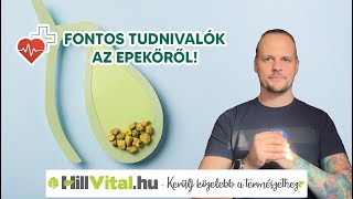 Fontos tudnivalók az epekövességről! ☝️ - hillvital.hu