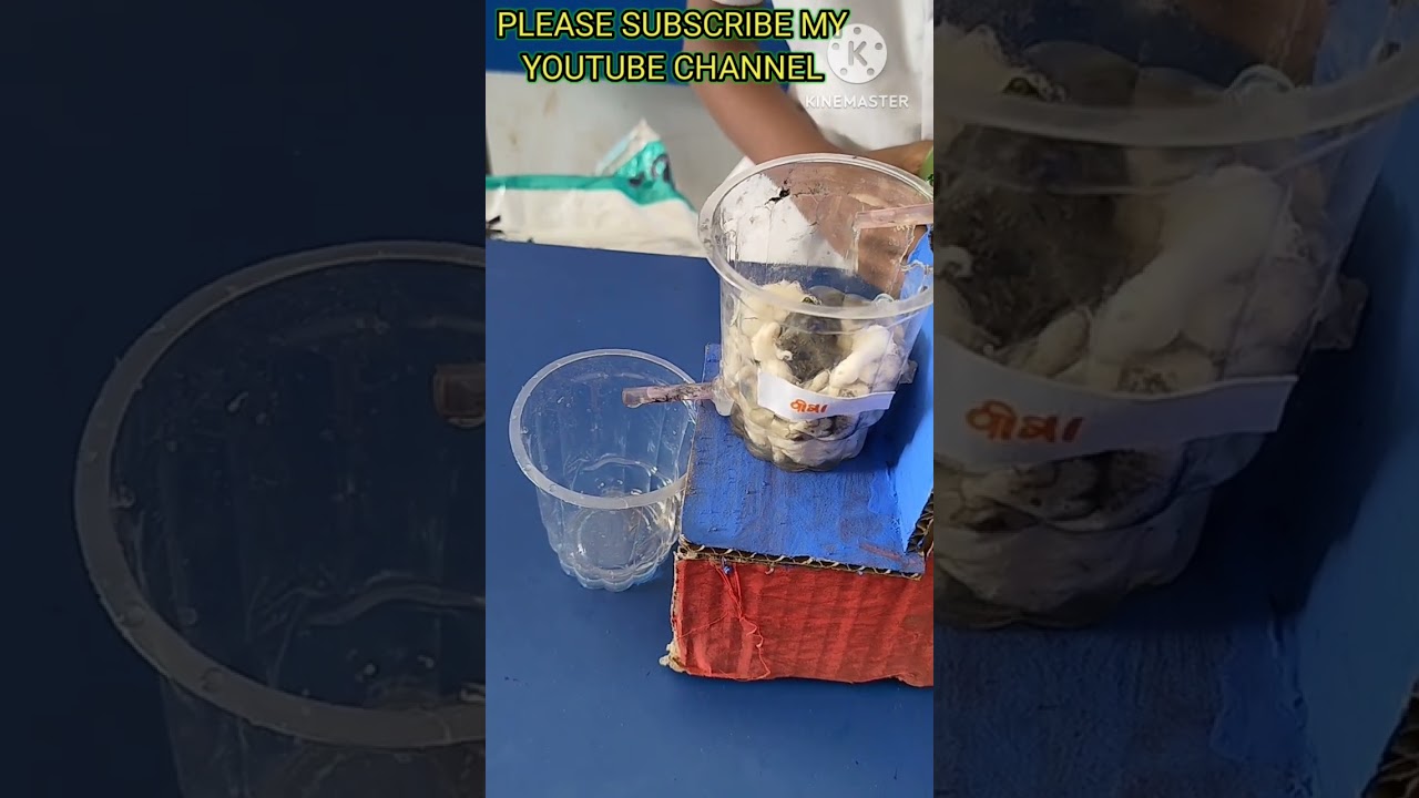 Handsome Water Filter Science Project Water Filter Project Best