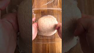 easy whole wheat ciabatta bread!#makingbread #easybreadrecipes #wholewheatbread