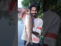 പുഴയിലെ മീൻപിടുത്തം daily vlog 19 shorts fishing youtubeshorts fish