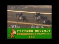 ダービー卿チャレンジトロフィー（giii） キャンベルジュニア調教動画　「競馬レース結果ハイライト」2016年