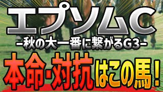 エプソムカップ2023【予想】雨のタフ馬場はむしろ歓迎！本命と対抗はコレで決まり🐴 ～JRAエプソムCの枠順確定前競馬予想～