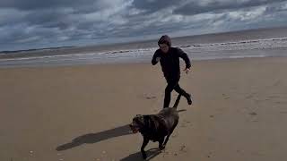 Meeko on Bridlington Beach - Longer Video - Easter Holiday 2023 🐣 🐕 ⛱️