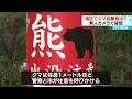 【無人カメラで確認】札幌市南区でクマの目撃相次ぐ