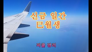 십간론 39 🍎 신금 일간 巳월생 - 피클의 행복한 명리