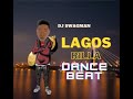 Dj Swagman - Lagos Rilla Dance