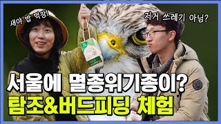 서울 한복판에 멸종 위기종이? 유튜버 새덕후와 함께 하는 탐조\u0026버드 피딩 체험기 [아니!뭘해?]