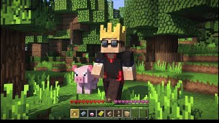 HOW TO SERVIVE MINECRAFT SURVIVALWORLD #LIVE #CPRI_YT