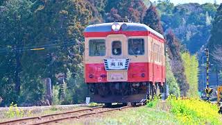 いすみ鉄道　キハ52 125   4K