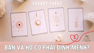 Tarot: Bạn và họ có phải định mệnh của nhau? @ChubbyTarot Tarot Reading