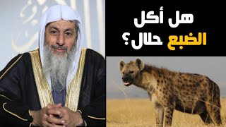 ما حكم أكل لحم الضبع؟ | الشيخ مصطفى العدوي