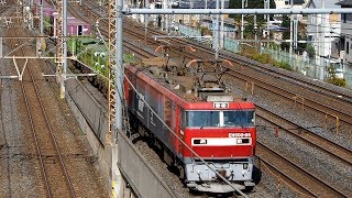 2018/11/16 JR Freight by EH500-66 at Urawa Tunnel