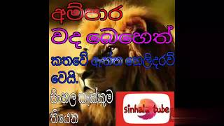 අම්පාර වද බෙහෙත් කතාව  ampara muslim sinhala attack full video