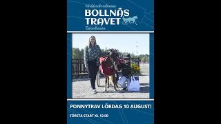 190810 Heldag Ponny på Bollnästravet Lopp 2