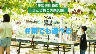 【ぶどう狩りの柴久園】雨の日でも大丈夫！園内に完備された屋根が雨を気にせずに一日中遊べることができる柴久園の魅力をダイジェストでお送りします！　#岡崎#柴久園 #雨でも遊べる#ぶどう狩り