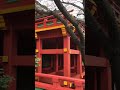 2019 02 03 北九州 祐德稻荷神社 ゆうとくいなりじんじゃ 日本三大稻荷神社之一