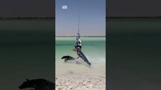 Kite surfer narrowly misses hitting her dog #shorts #dogs #closecall
