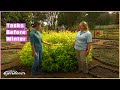 Winterizing Ornamental Beds | Volunteer Gardener