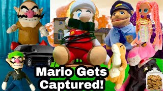 Mario Gets Captured!