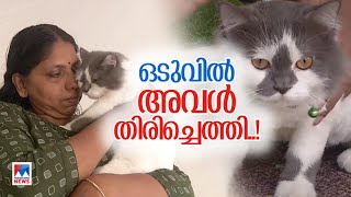 നഷ്ടപ്പെട്ടെന്ന് കരുതി; തേടി അലഞ്ഞു; ഒടുവില്‍ അവള്‍ തിരിച്ചെത്തി | Cat | Kochi