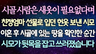 (반전 사연) 시골 사람은 새옷이 필요없다며 친정엄마 선물로 입던 헌옷 보낸 시모 이혼 후 시골에 있는 땅을 확인한 순간 시모가 뒷목을 잡고 쓰러졌습니다 /사이다사연/라디오드라마