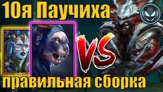 🕷️Акемтум с Митралой против 10й Паучихи на авто, кач корма без фейлов | Gray plays | Raid SL