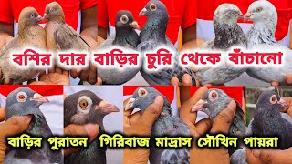 বশির দার বাড়ির চুরির হাত থেকে বাঁচানো পায়রা।পায়রা প্রেমী হবে তো এমন।PART -2।@pigeonsloverrj9600