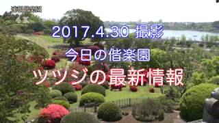 2017.4.30撮影  今日の偕楽園（ツツジの開花最新情報・好文亭からの映像含む）4K