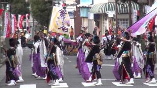 2014.11.30黒潮よさこい祭り　紫音ーSION