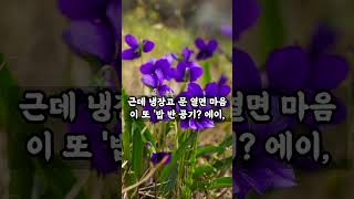 여러분, 이 세상에서 가장 강한 힘이 뭔지 아세요? |오디오북|지혜와 명상의 샘 #긍정에너지 #명언 #깊은명상