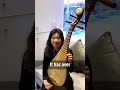 Why is the pipa considered the 'the King of Chinese instruments'?