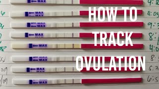 How to track ovulation | OPK line progression | TTC Journey