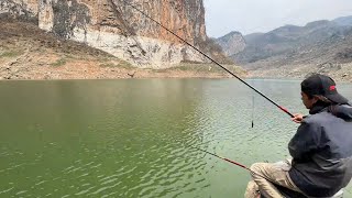 抽鰱鳙碰到一條十幾公斤的土鯰魚，驚喜來的猝不及防，晚上加餐！【野釣長空】