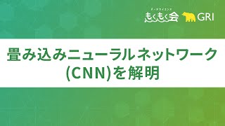 畳み込みニューラルネットワーク（CNN）を解明