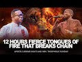 12 HOURS FIERCE TONGUES OF FIRE THAT BREAK CHAIN || APOSTLE AROME OSAYI AND MIN. THEOPHILUS SUNDAY