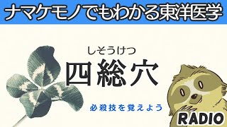 【はじめてでもわかる東洋医学】万能のツボ　四総穴について【経絡経穴】