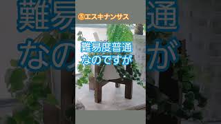 【難易度高】育てるのが難しい観葉植物7選 #shorts