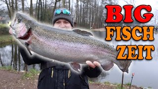 BIG FISH TIME | Salmon trout fishing in the Steinfeld fishing park