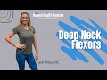 Deep Neck Flexors: Neck Rehab and Strengthening