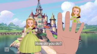 Finger Family | Sofia the First Princess | Finger Family Song | Family Finger