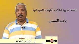 اللعة العربية لطلاب الشهادة السودانية ( باب النسب )  د. أمجد فتحي